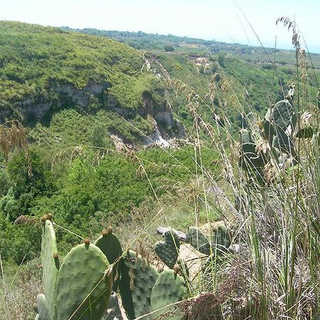 Azienda Agrituristica Carida Zaccanopoli المظهر الخارجي الصورة