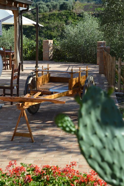 Azienda Agrituristica Carida Zaccanopoli المظهر الخارجي الصورة