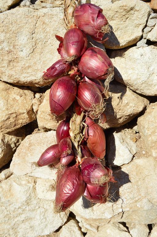 Azienda Agrituristica Carida Zaccanopoli المظهر الخارجي الصورة