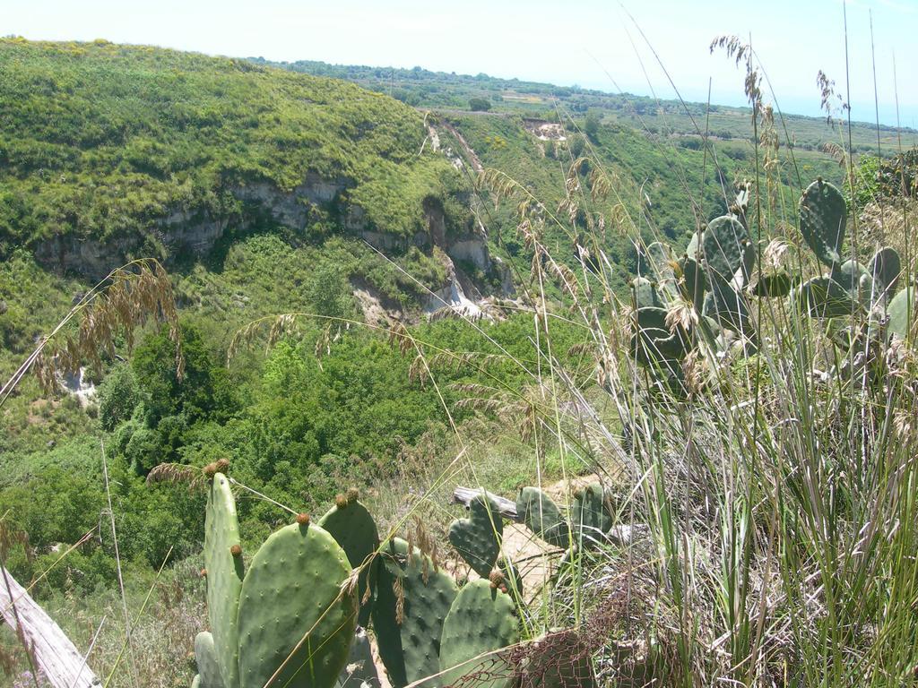 Azienda Agrituristica Carida Zaccanopoli المظهر الخارجي الصورة